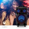 Bluetooth® party hangszóró | Maximális akkumulátor lejátszási idő: 6.5 óra | 120 W | Hordozó fogantyú | Party fények | Ekvalizer | Fekete